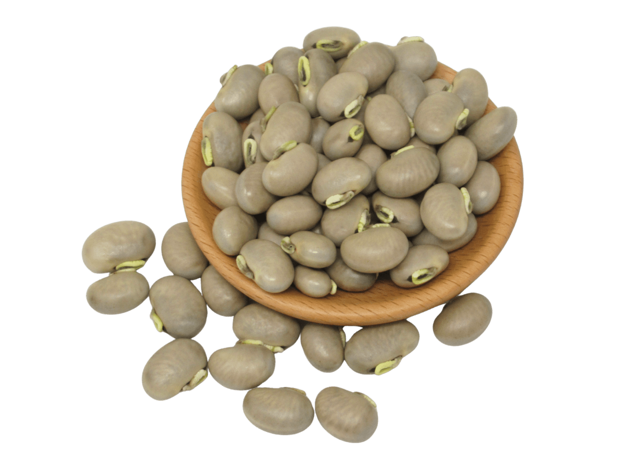 ムクナ豆(八升豆)